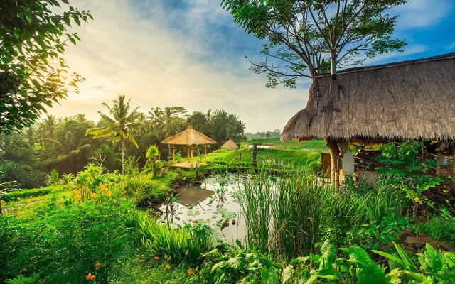 UBUD TOUR