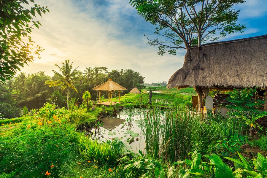 UBUD TOUR