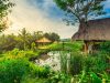 UBUD TOUR