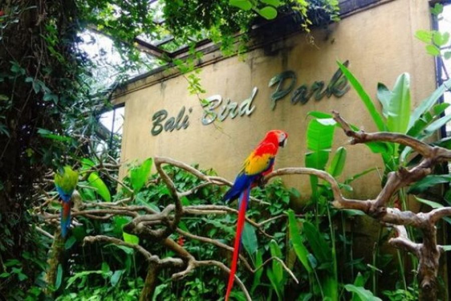 BALI BIRD PARK