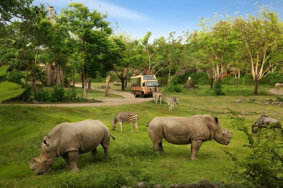 BALI SAFARI AND MARINE PARK