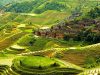  BUKIT JAMBUL RICE TERRACE