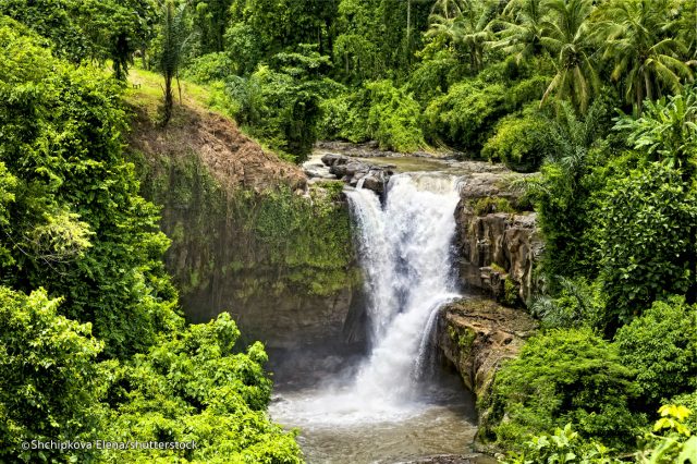  TEGENUNGAN WATERFALL